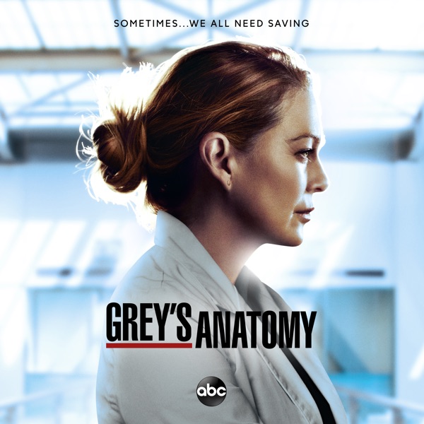   /   / Grey's Anatomy [1-18 ] (2005-2022) WEB-DLRip, BDRip, HDTVRip | , , Fox Life