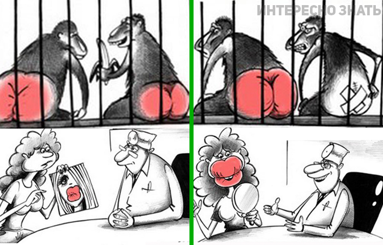 6-ы-3-750x480.png