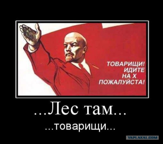 image.png.3b9c2e1b9e0fd7ffb518ba9f0fb9bb09.png
