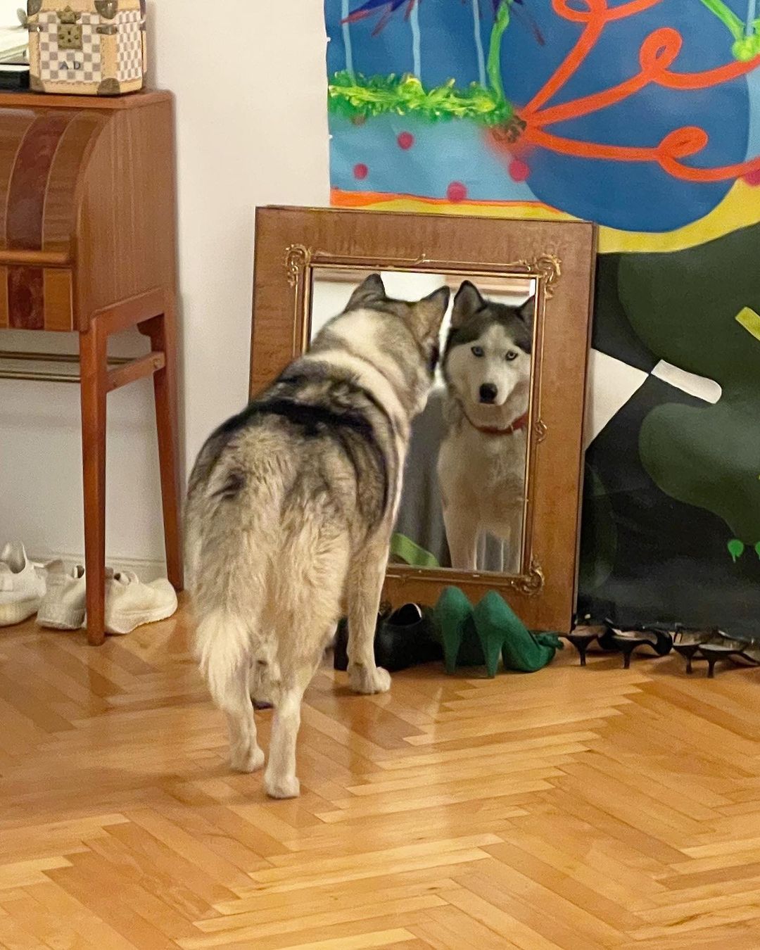 рудковская у алены блин. Смотреть фото рудковская у алены блин. Смотреть картинку рудковская у алены блин. Картинка про рудковская у алены блин. Фото рудковская у алены блин рудковская у алены блин. Смотреть фото рудковская у алены блин. Смотреть картинку рудковская у алены блин. Картинка про рудковская у алены блин. Фото рудковская у алены блин