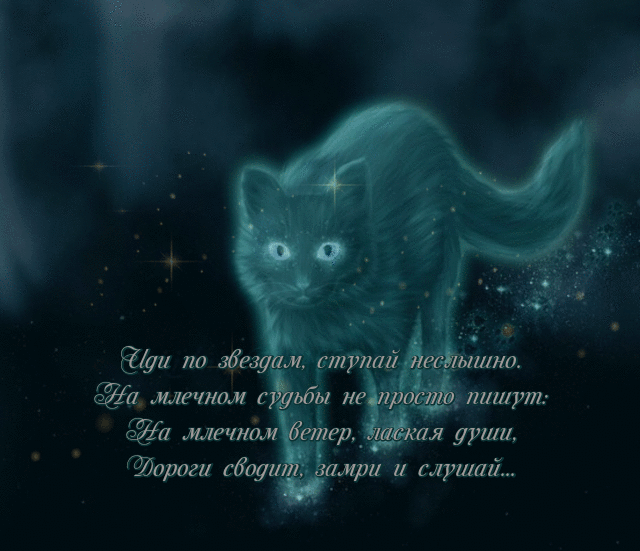 Стихи о котах которые ушли. Смерти любимого кота стихи. Стихи на смерть кота. Стихотворение про смерть кота. Черный кот стихи