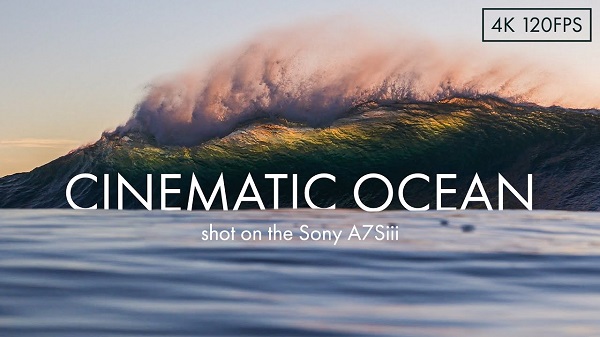 Океан / Cinematic ocean (2021) WEBRip 2160p