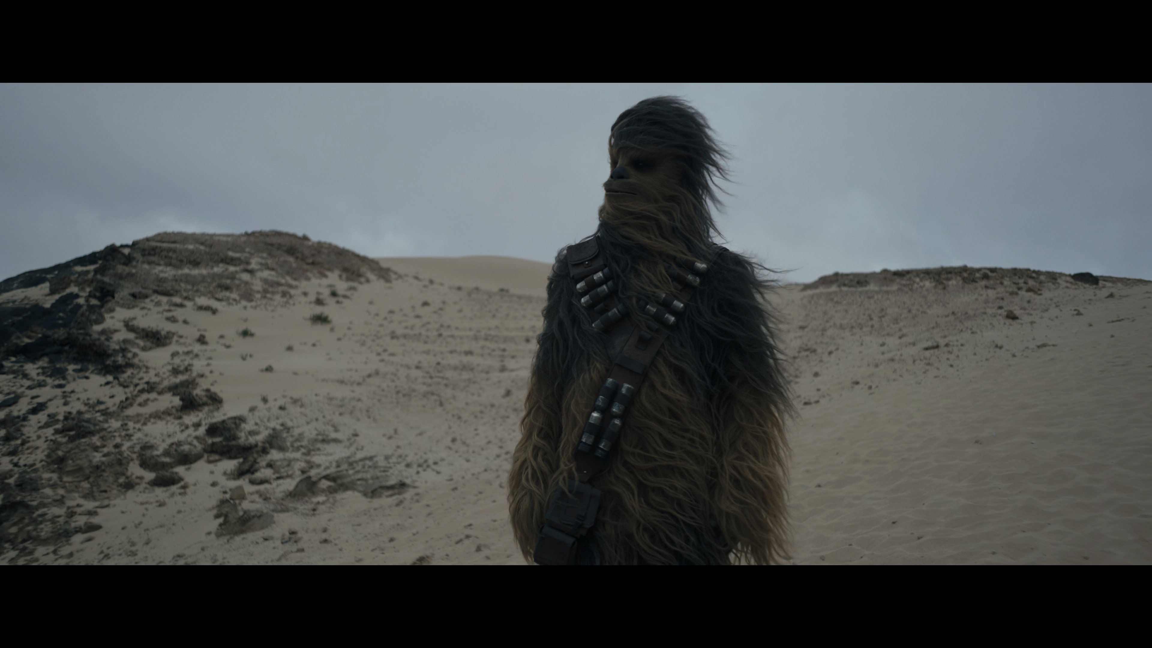 Solo.A.Star.Wars.Story.2018.UHD.BDRemux.2160p.HDR.DoVi.HYBRID.P8.by.DVT.mkv_snapshot_02.00.40_[2021.11.25_18.29.10].png