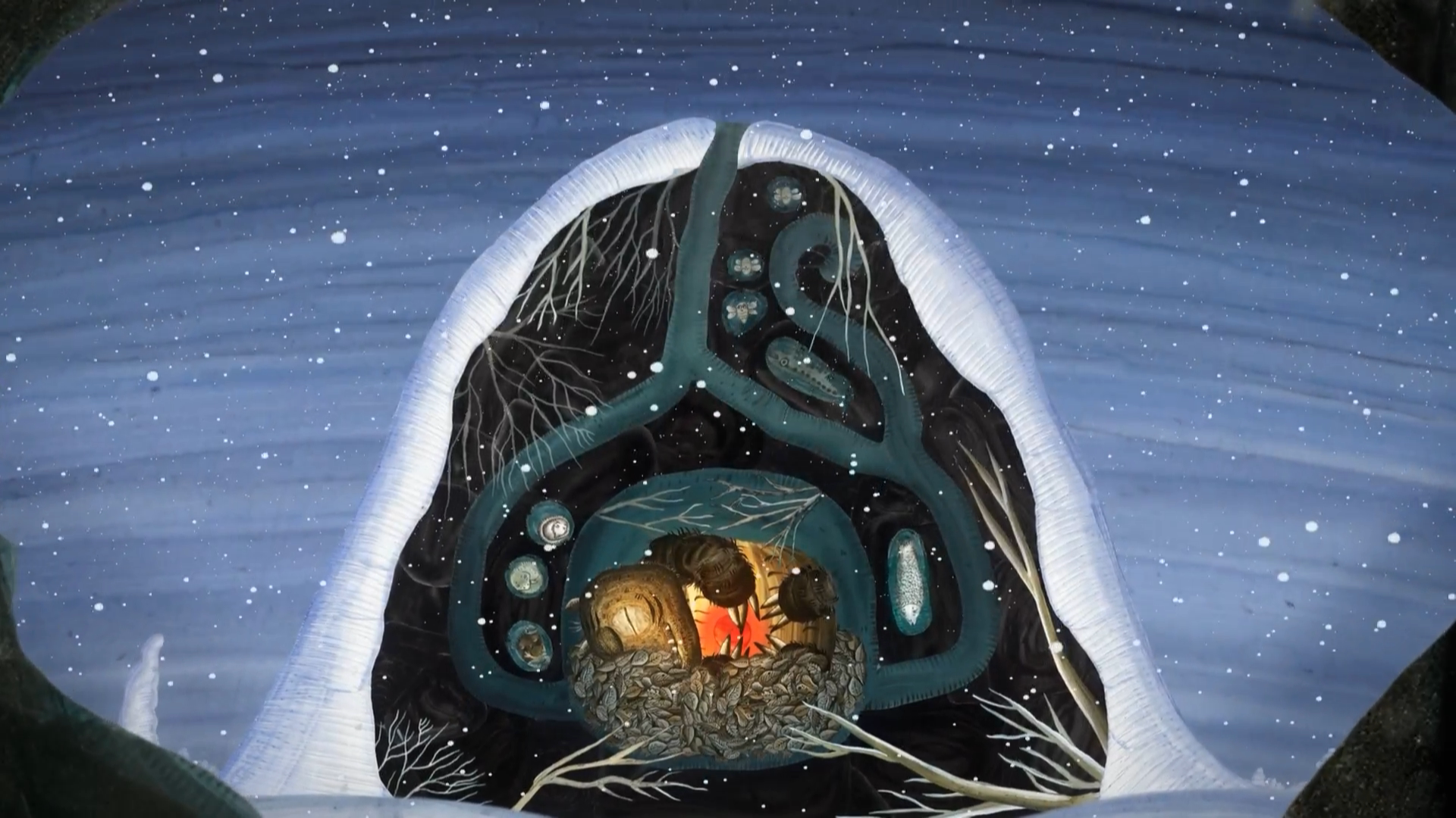Якія сны сніць мядзведзь (2015).mkv_20211124_235154.540.png