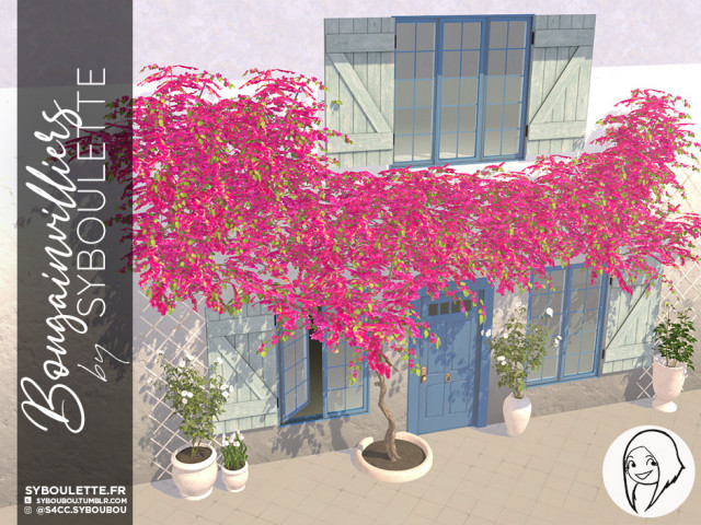 Bougainvilliers-set-preview-WIP.jpg