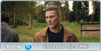   ! (2022) WEB-DLRip / WEB-DL (1080p)