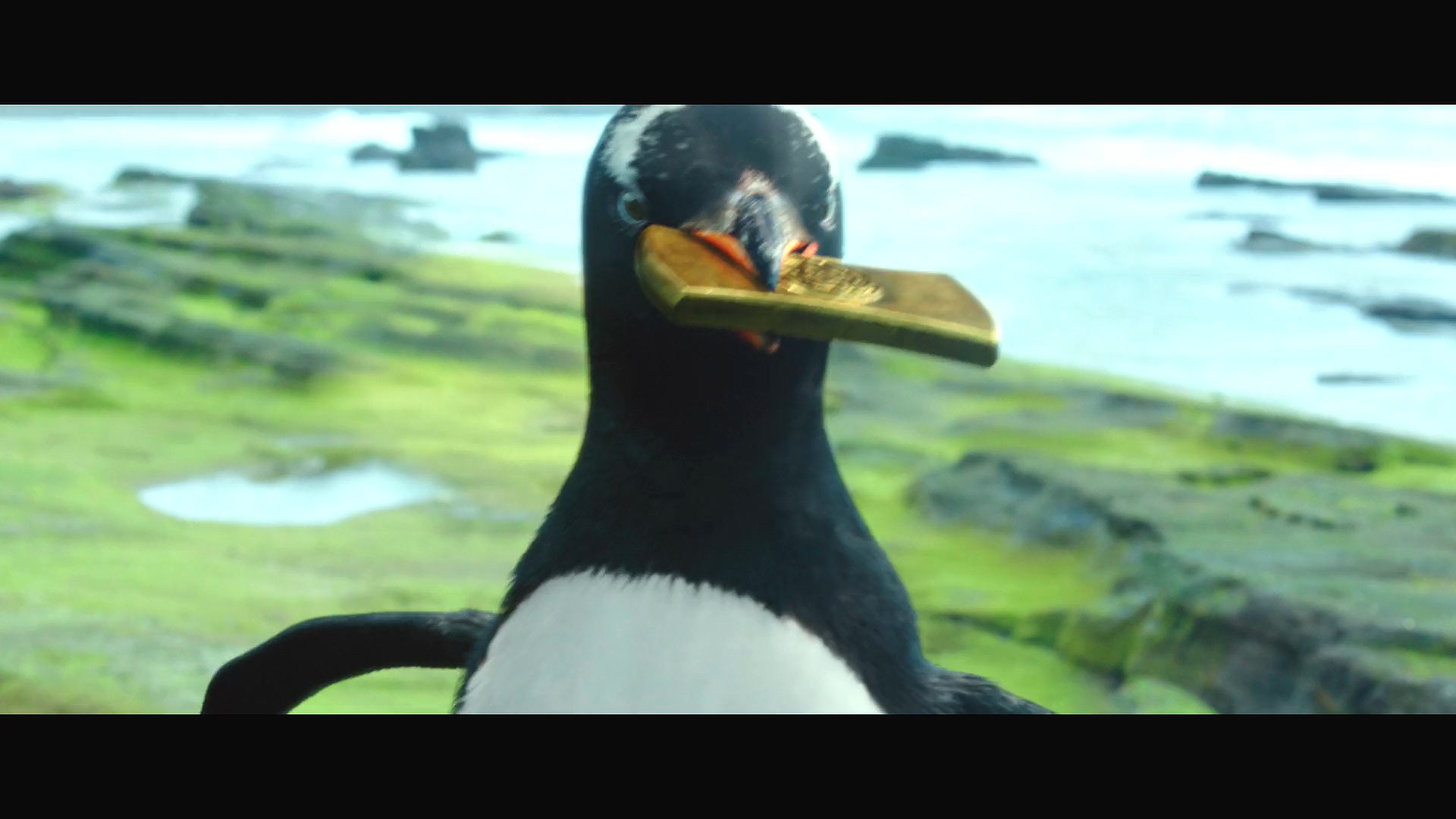 The.Pirates.2022.WEB-DL.1080p_от New-Team.mkv_20220303_112842.452.jpg