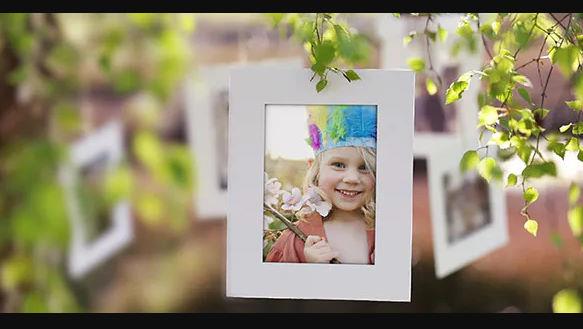 VideoHive   Photo Gallery on a Sunny Afternoon 3209013