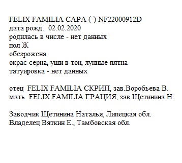 Сара анк Elena Veles.jpg