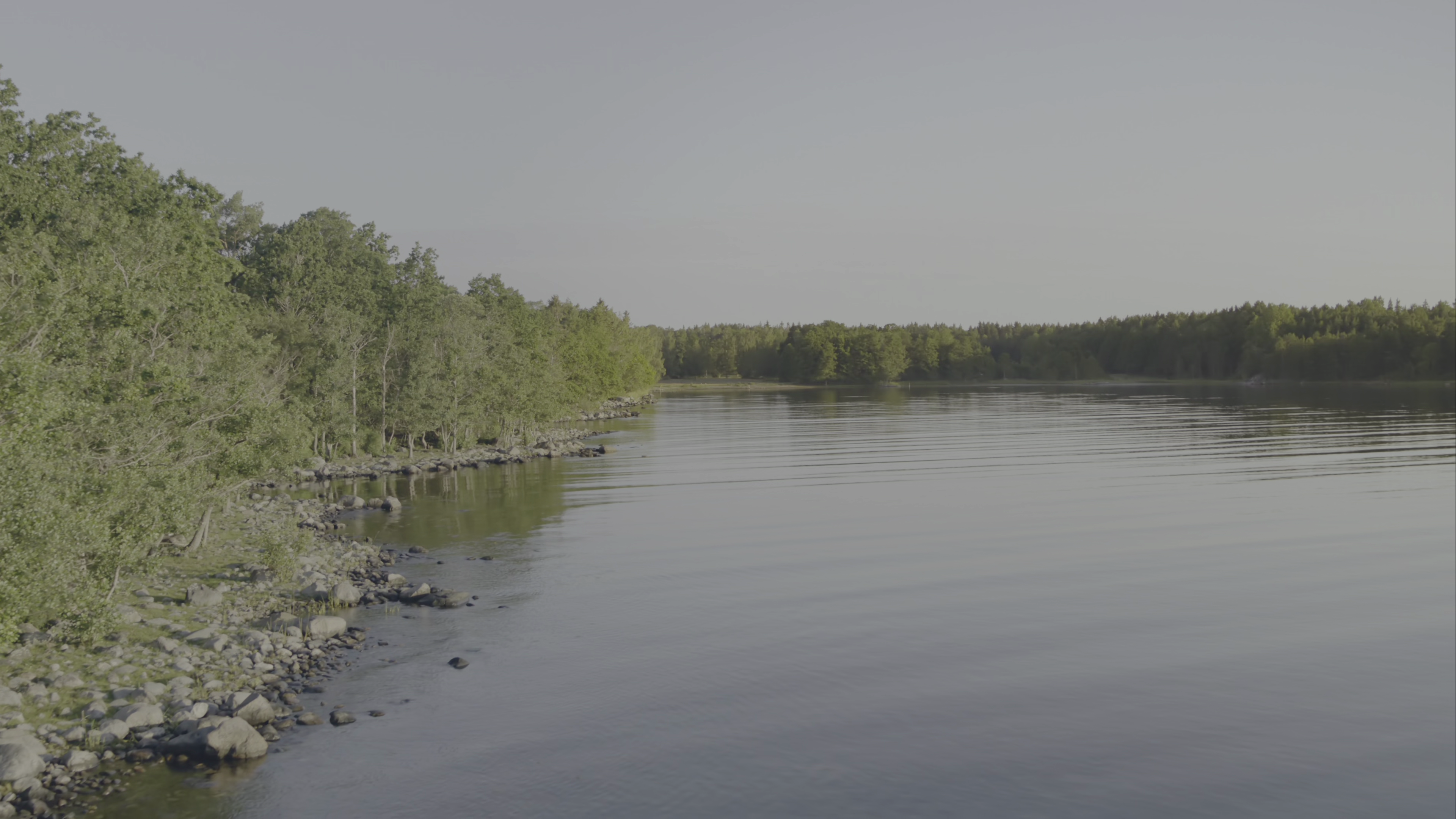 vlcsnap-2022-05-22-09h02m49s725.png