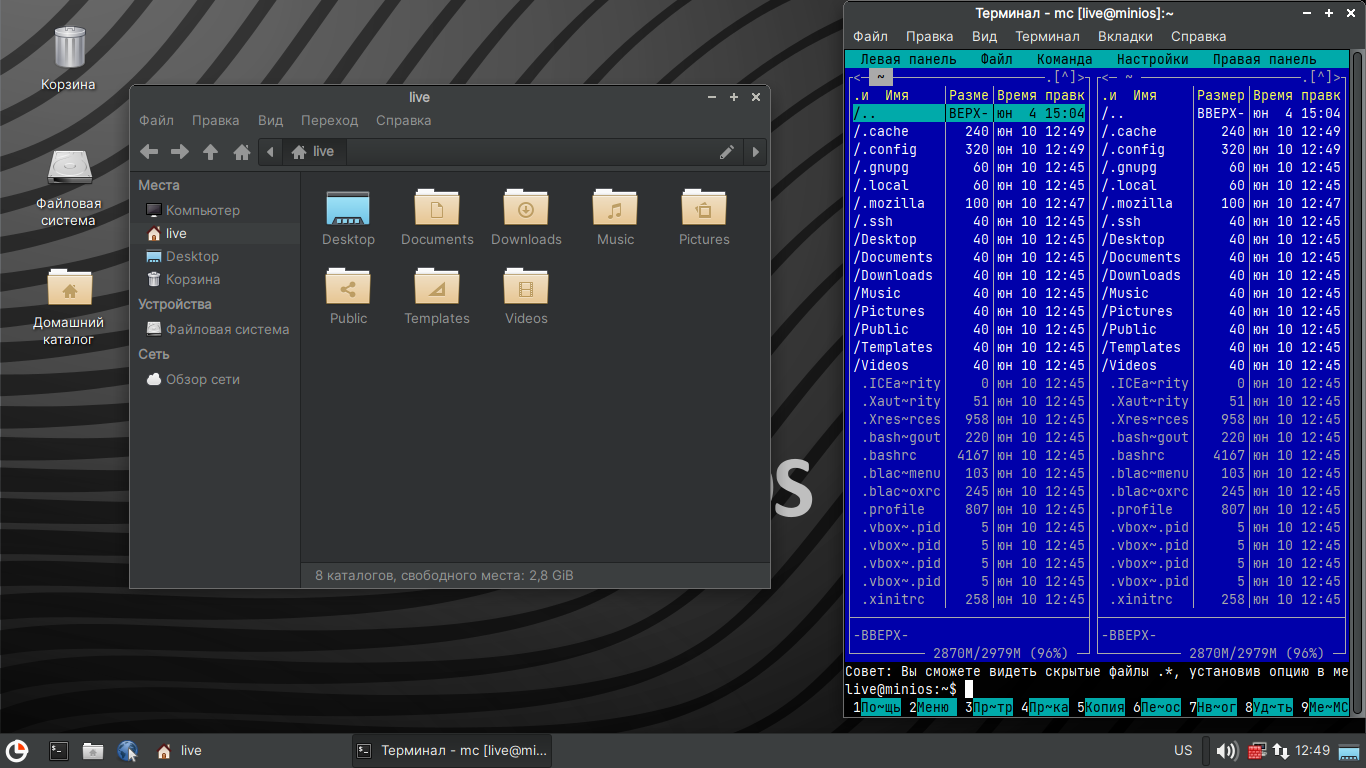 Minio compose. Minios. satin minios. mineos. how many minios in video.