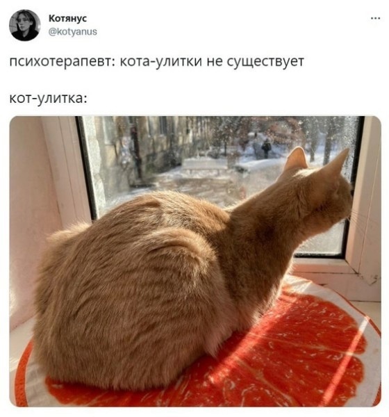 pTJCd-l66Ha0.jpg