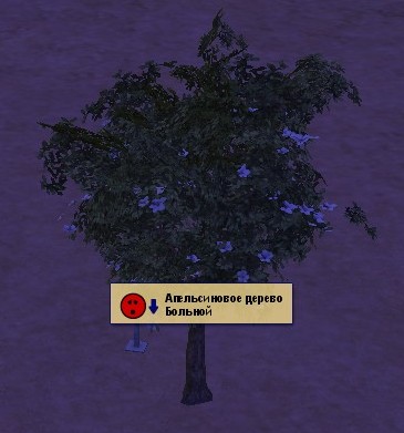 Screenshot - 14.01.2009 , 19_27_10.jpg