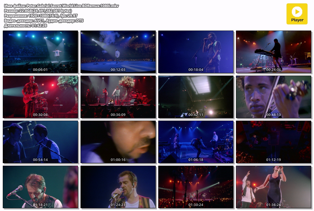 Peter.Gabriel.Secret.World.Live.BDRemux.1080i.mkv.png