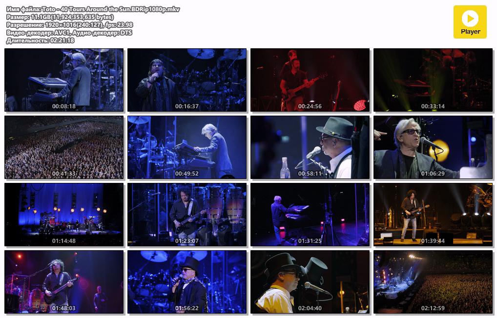 Toto - 40 Tours Around the Sun.BDRip1080p.mkv.png