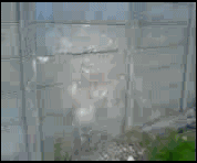91f2c69cbc422c00f43fd228f475f064.gif