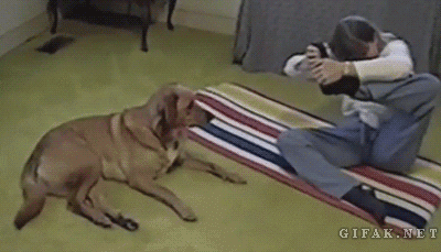 c1948aa86a4dc0ca67cd79fdd8dfd1a0.gif