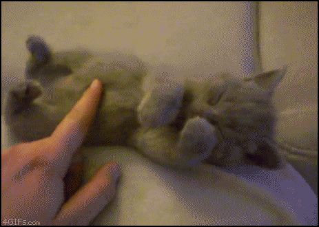 88d377446ba54b9fa3b2fdf947f3a6c6.gif