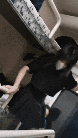 8f1e6f83ac1d3d2b4e75bde48b552b5e.gif