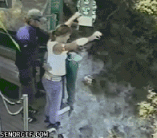 e371abd02d278c89c4874a654c3825f7.gif