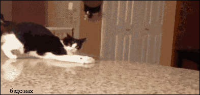 0e69b2c9cce426753b96b9330cc054c8.gif