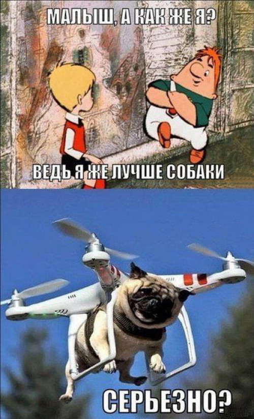 a25d0e0b465117010977080a37bfeb03.jpeg