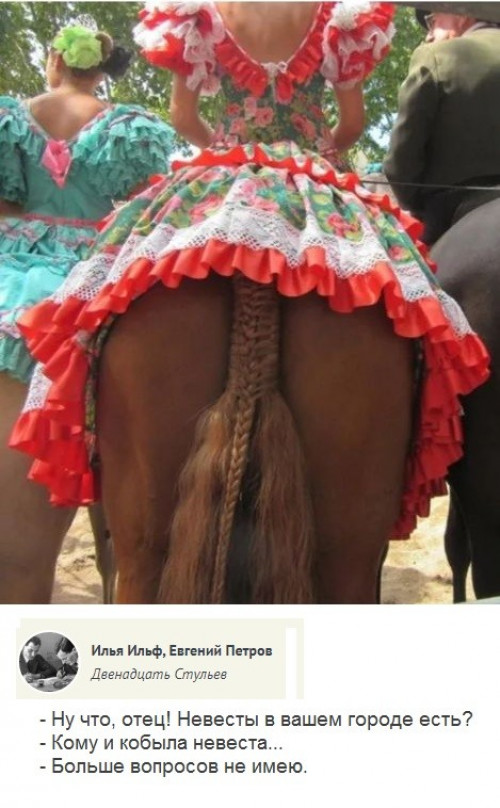 13447597.jpg
