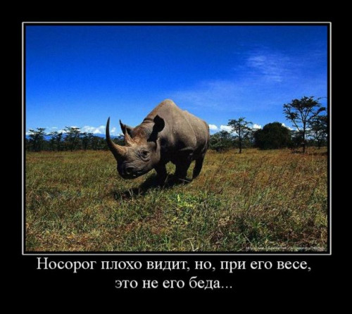 c82cc52d07f58e228bd8004c2a97e326.jpg