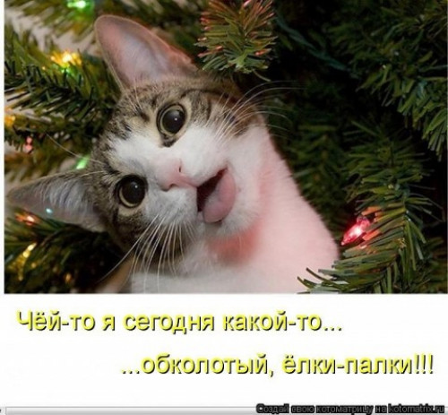 88b98d6a1f294c1cc5a3b541fda.jpg