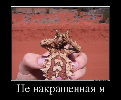 abd348ecb2b83d3c6354af51d3c.jpg