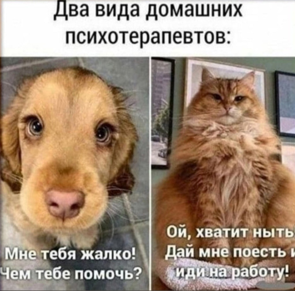 pfx8J7MOQhIo.jpg