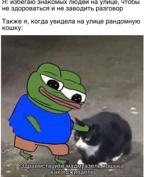 mem.female-10112022-0001.jpg