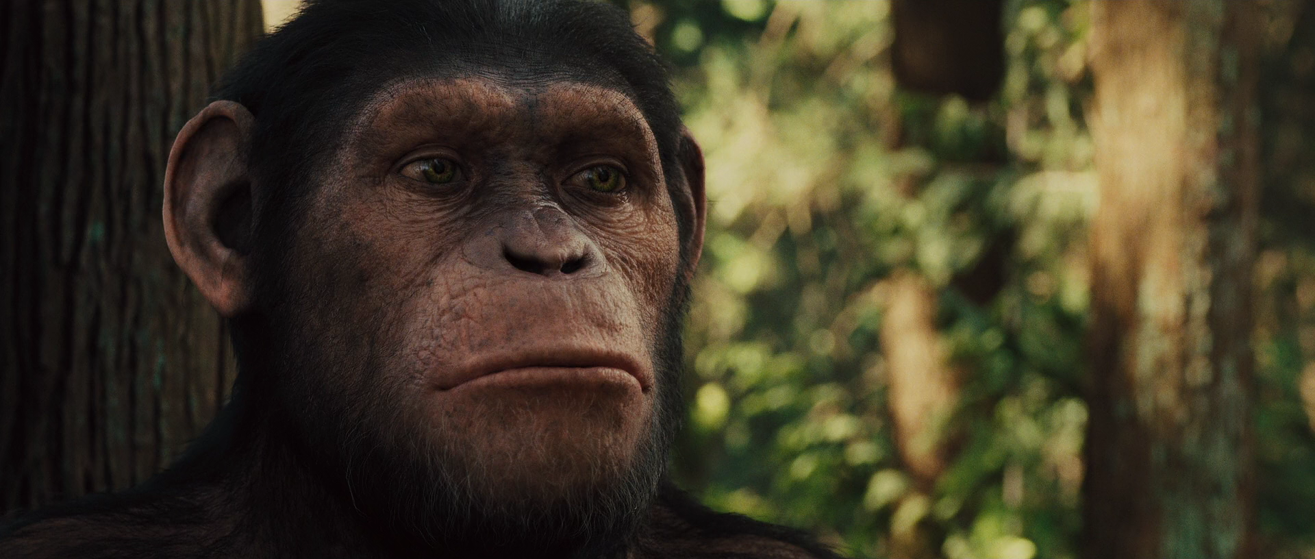 Нашествие обезьян. Восстание планеты обезьян Rise of the Planet of the Apes 2011.