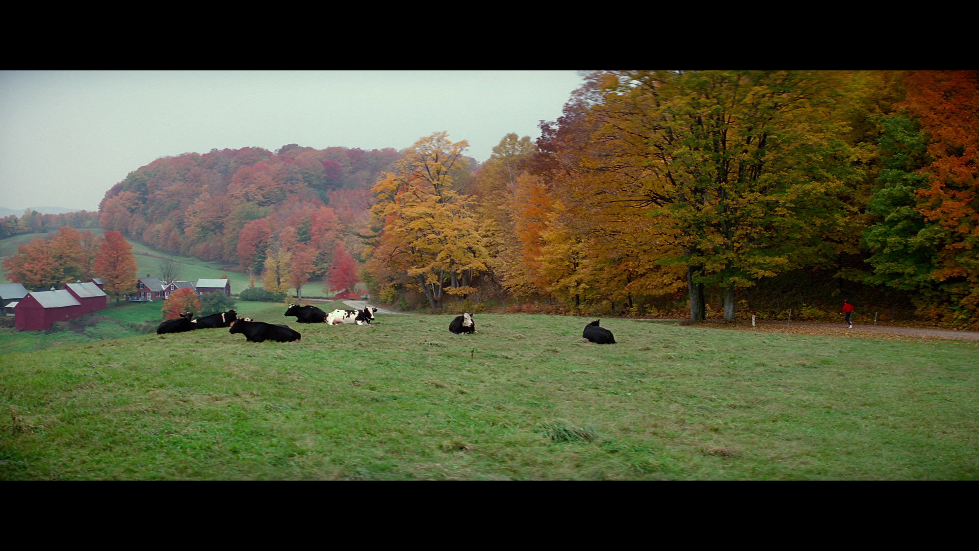 Forrest.Gump.1994.Paramount.Home.Entertainment.BDRemux.1080p.Remastered[(164960)08-10-36].PNG