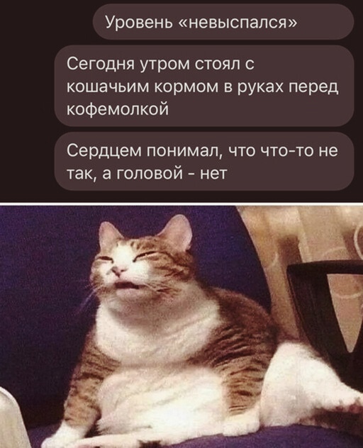 pijpgho7s0M.jpg