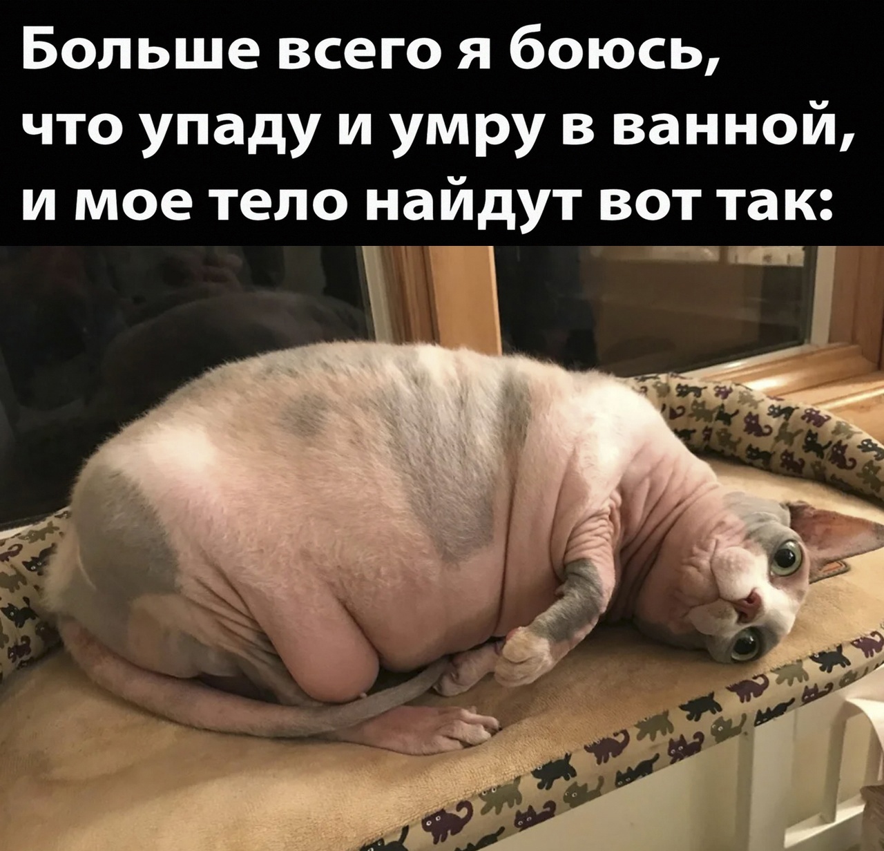 Xpiiki3OI14.jpg