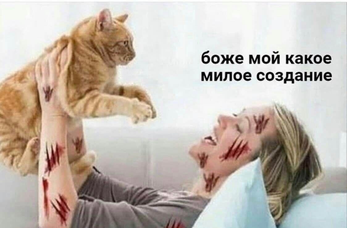 phO71j81kb0.jpg