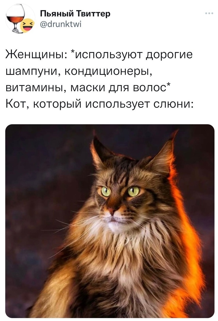 pO9vep9ZoZc.jpg