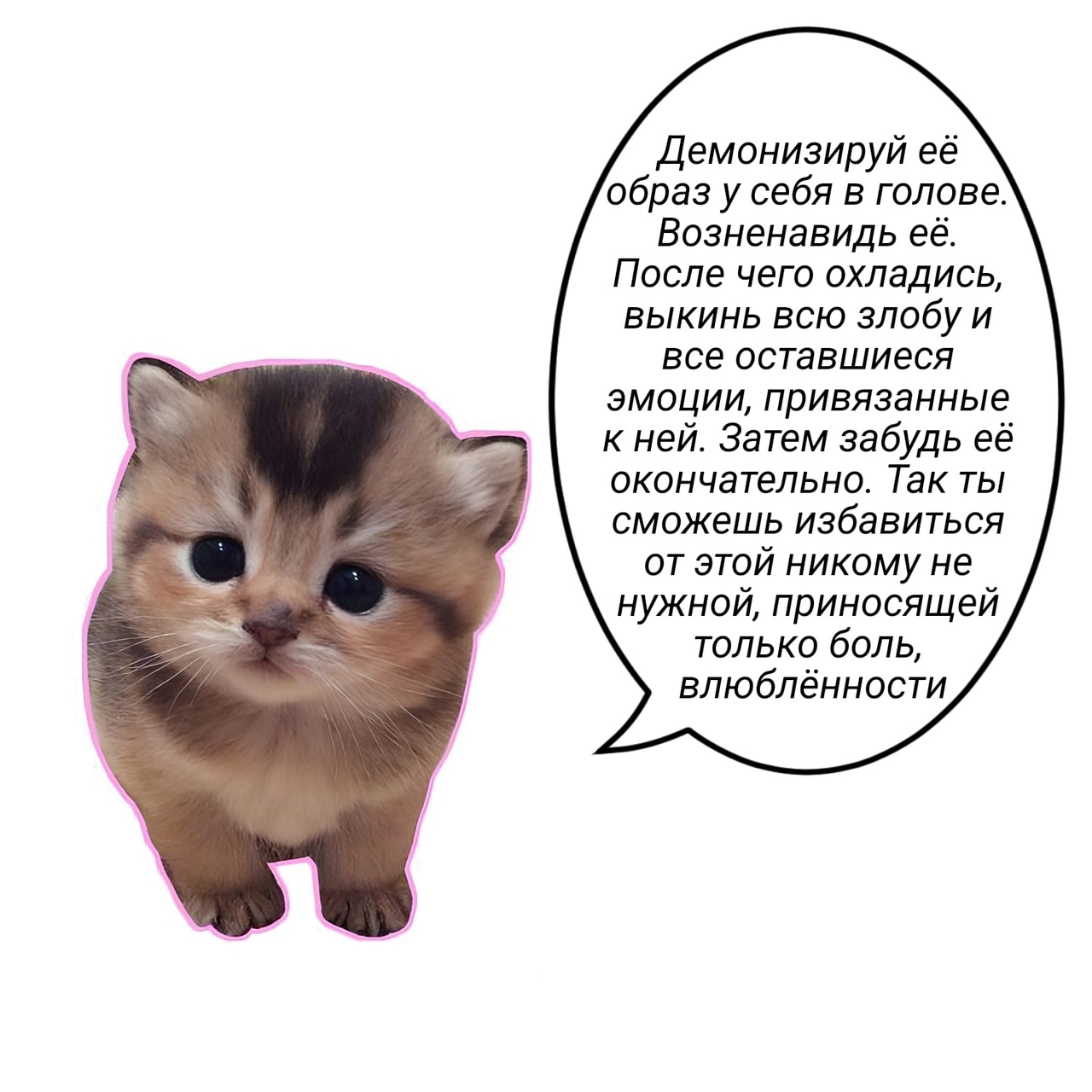 z.jpg