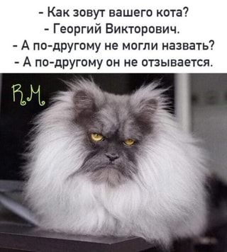 p0.jpg