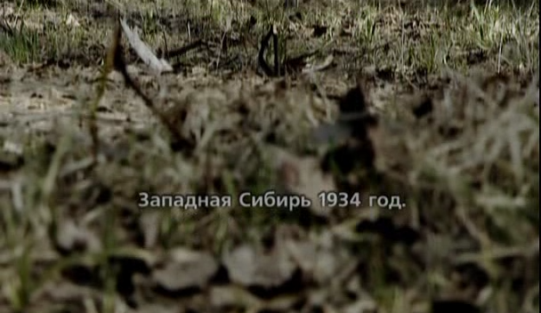 1 серия.avi_snapshot_00.24_[2023.03.20_22.05.14].png