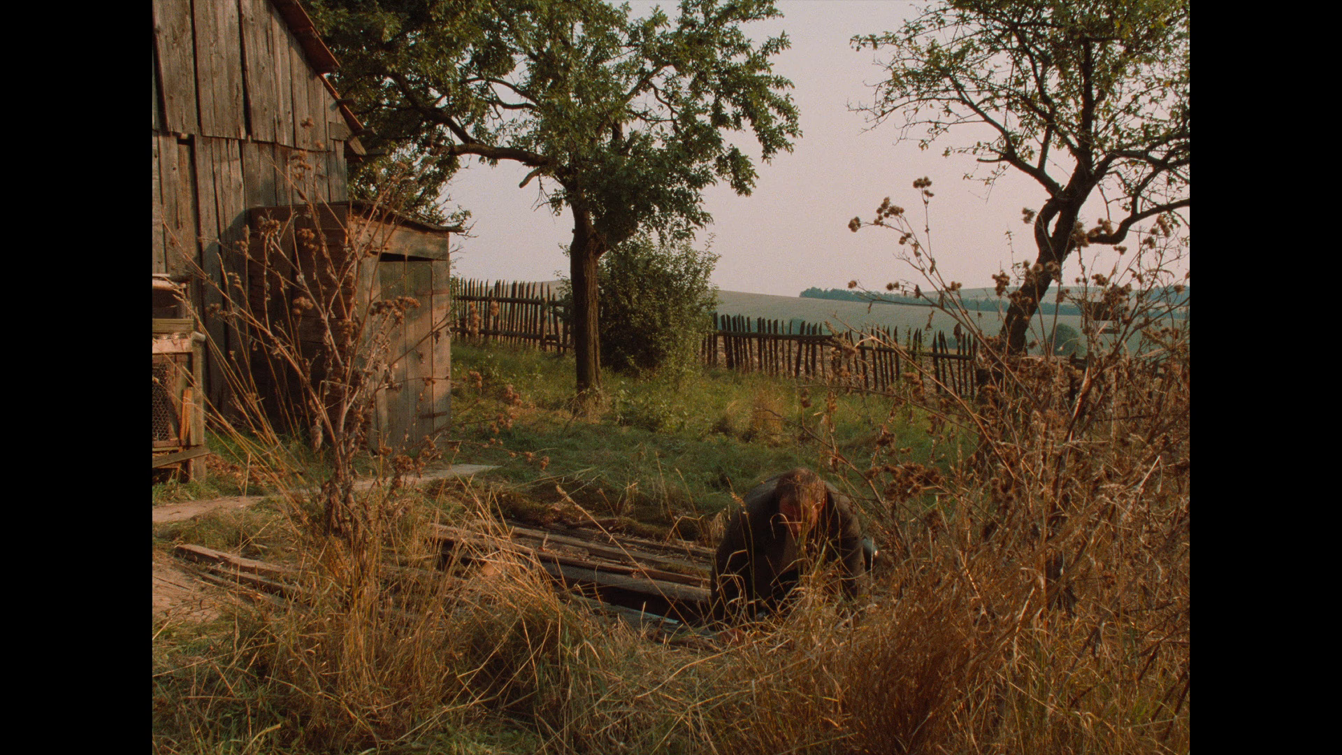 vlcsnap-2023-06-02-00h10m23s941.png