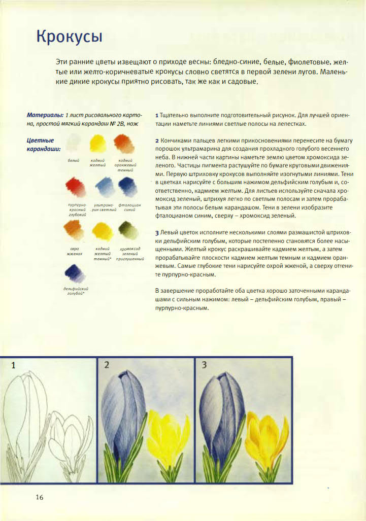 Кордула Керликовски - Основы рисования. Цветы и бутоны - 2008_16.jpg