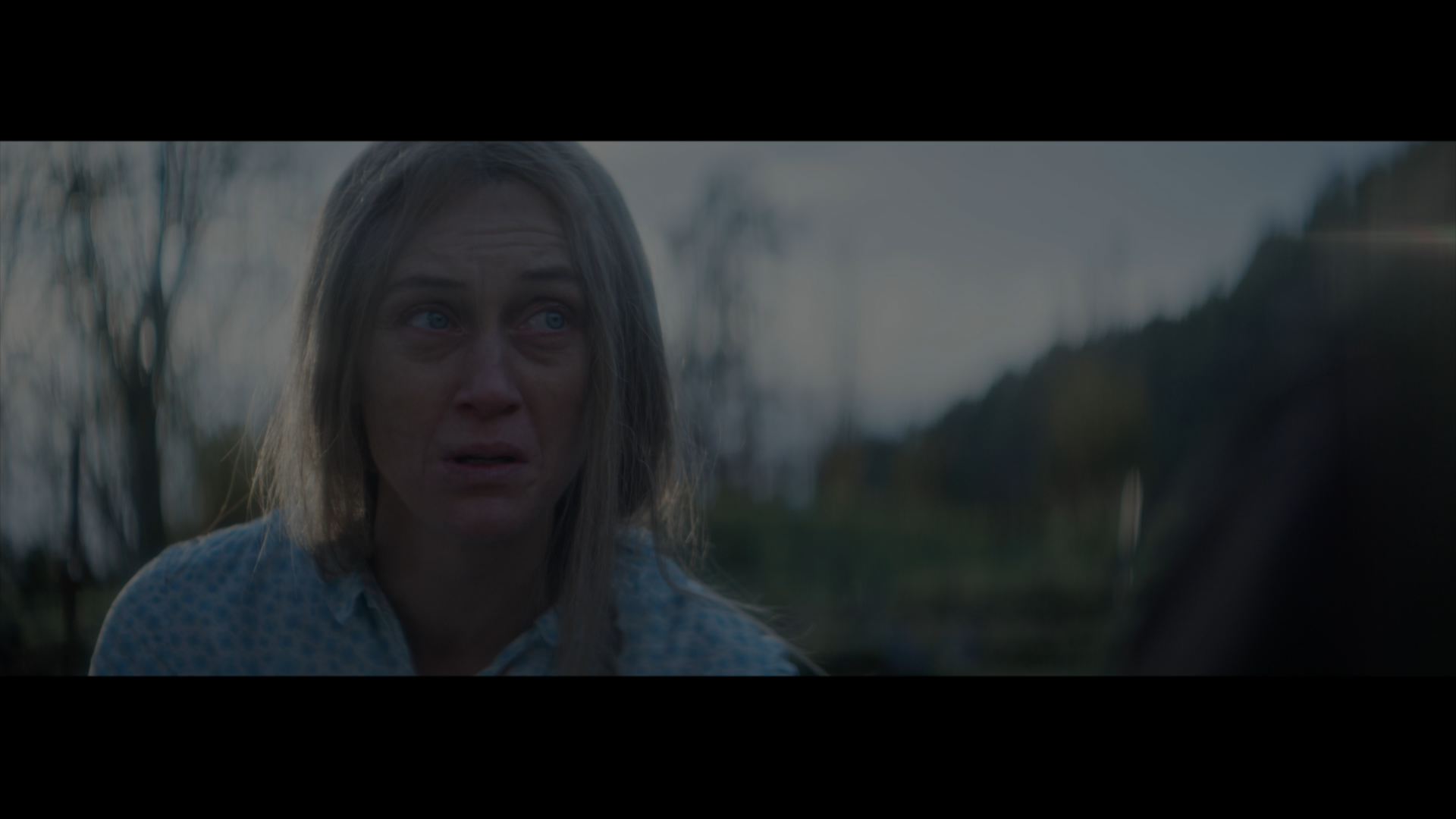 Leave.2022.1080p.BDREMUX.AVC-Нечипорук.mkv_snapshot_01.40.20.250.png