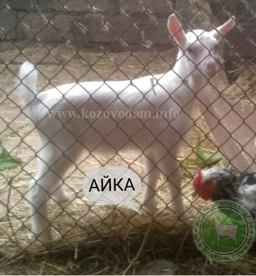 Айка Таня.jpg