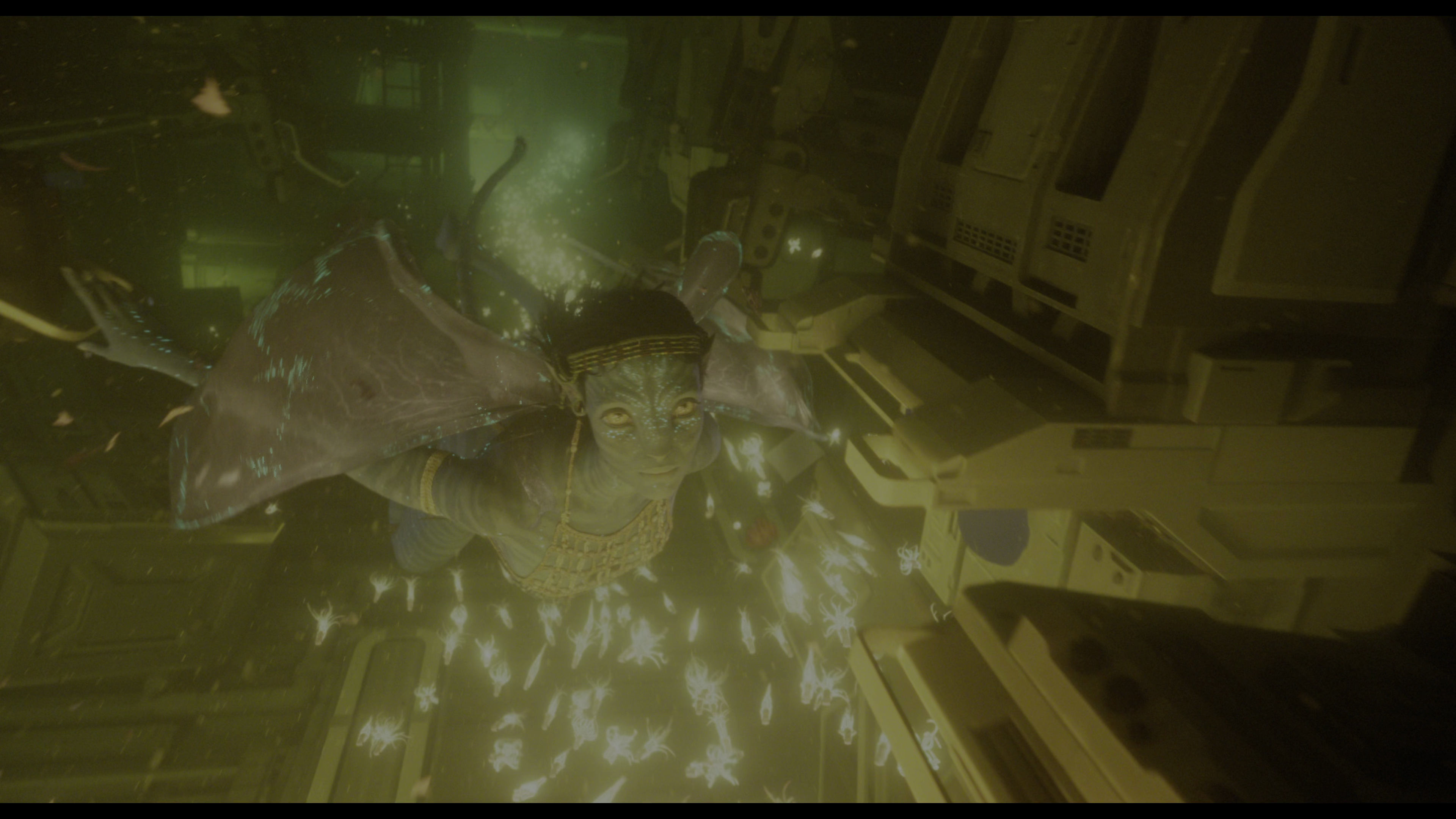 vlcsnap-2023-07-02-12h30m14s420.png