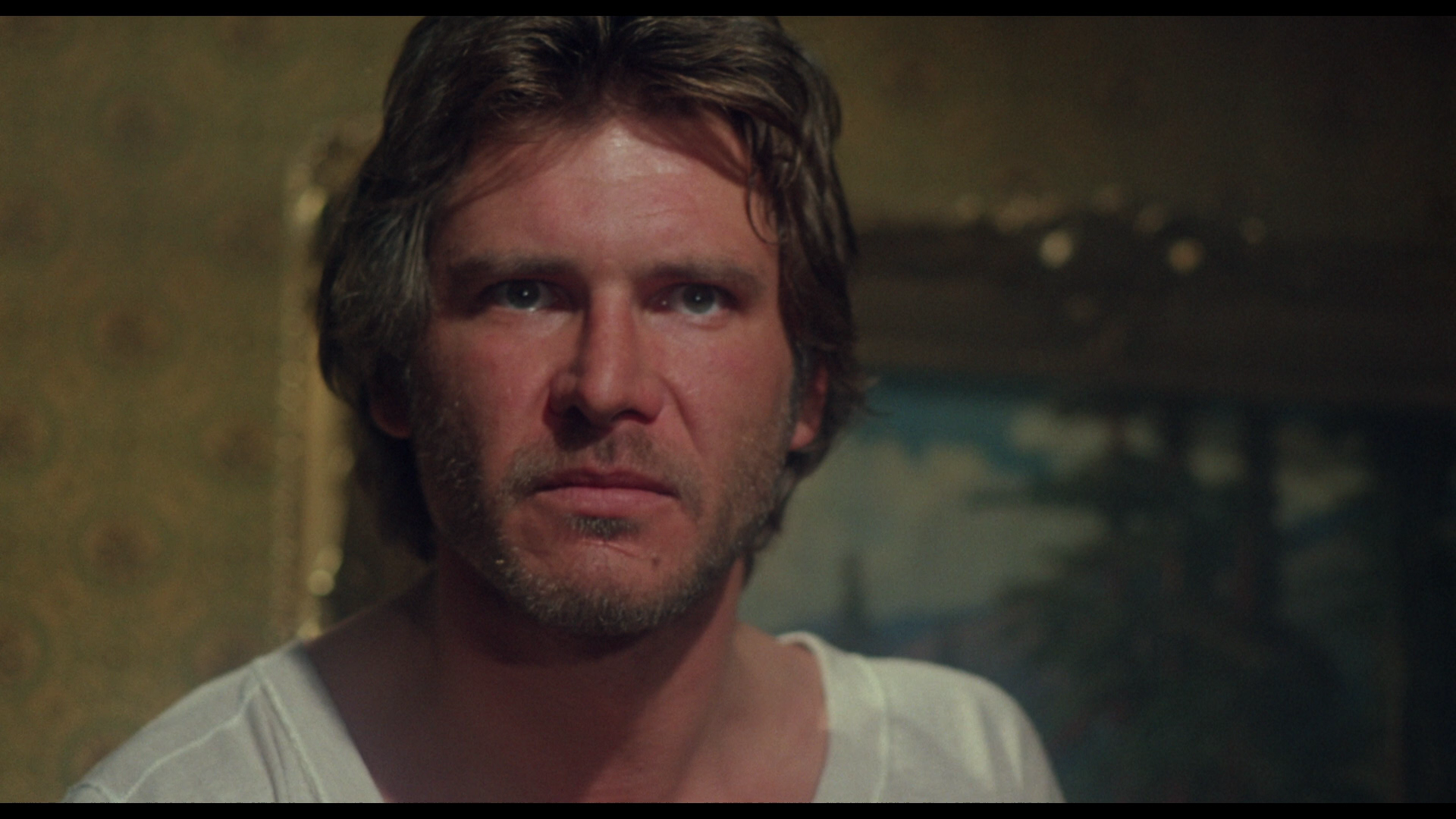 The.Frisco.Kid.1979.Warner.Bros.BDRemux.1080p[(126086)2023-07-15-19-21-40].PNG