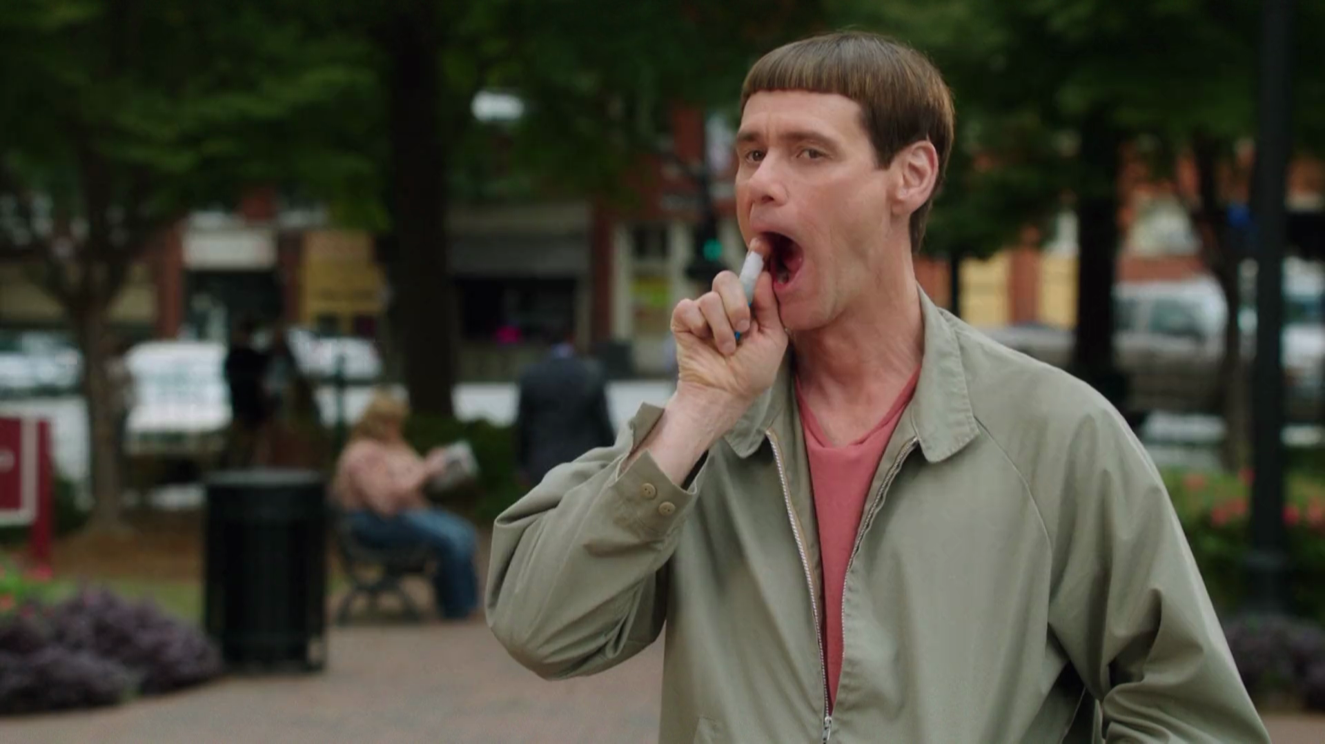 Dumb.and.Dumber.To.2914.WEB-DL.1080p.Open.Matte.mkv_20230730_104146.301.png