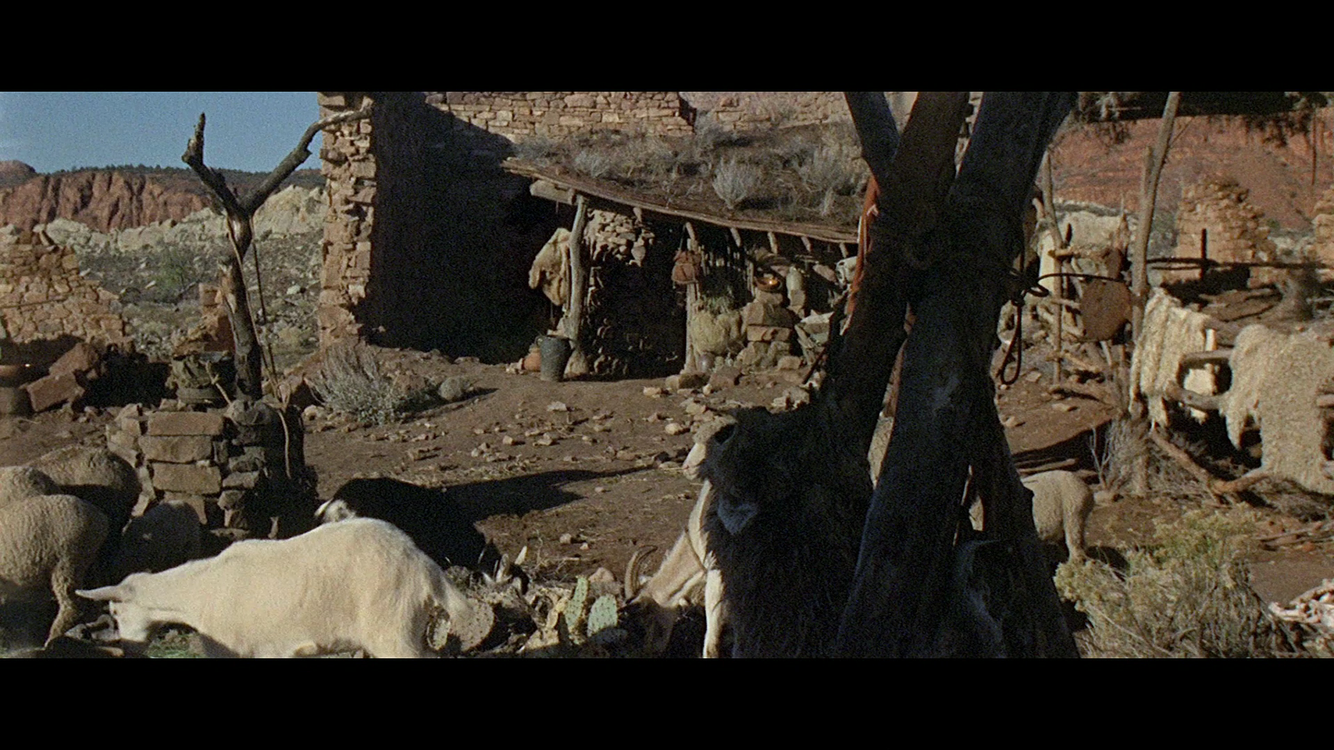 The.Appaloosa.1966.Kino.Lorber.BDRemux.1080p[(066993)2023-08-27-10-59-02].PNG
