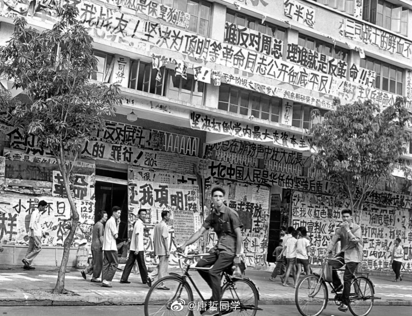 1967???????????????????????????“???”???????????????????????????.jpg